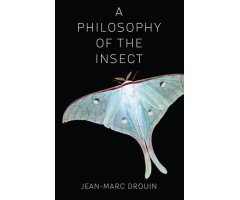 A PHILOSOPHY OF THE INSECT