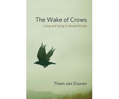 THE WAKE OF CROWS