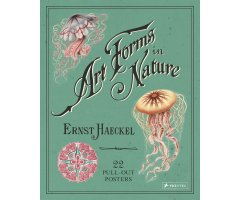 ART FORMS IN NATURE. 22 PULL-OUT POSTERS