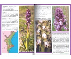 GUÍA DE LAS ORQUÍDEAS DE LA COMUNITAT VALENCIANA 2