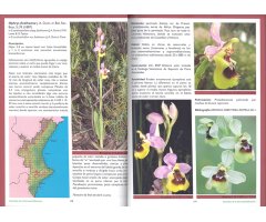 GUÍA DE LAS ORQUÍDEAS DE LA COMUNITAT VALENCIANA 3