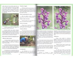 GUÍA DE LAS ORQUÍDEAS DE LA COMUNITAT VALENCIANA 4