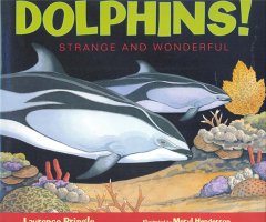DOLPHINS! STRANGE AND WONDERFUL                                                                                                                       