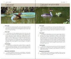 ELS OCELLS. CONÈIXER LA NATURA AMB JAUME SAÑÉ 4