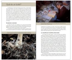 ELS BOLETS. CONÈIXER LA NATURA AMB JAUME SAÑÉ                                                                                                         