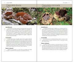 ELS BOLETS. CONÈIXER LA NATURA AMB JAUME SAÑÉ                                                                                                          3