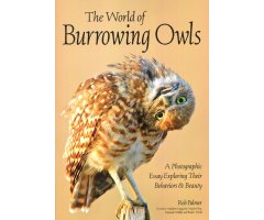A WORLD OF BURROWING OWLS: A PHOTOGRAPHIC ESSAY EXPLORING THEIR BEHAVIORS & BEAUTY