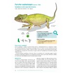 ATLAS DES AMPHIBIENS ET DES REPTILES TERRESTRES DE L'ARCHIPEL DES COMORES 3