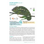 ATLAS DES AMPHIBIENS ET DES REPTILES TERRESTRES DE L'ARCHIPEL DES COMORES 4