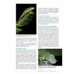 ATLAS DES AMPHIBIENS ET DES REPTILES TERRESTRES DE L'ARCHIPEL DES COMORES 5