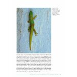 ATLAS DES AMPHIBIENS ET DES REPTILES TERRESTRES DE L'ARCHIPEL DES COMORES 6