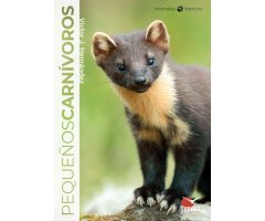 PEQUEÑOS CARNIVOROS
