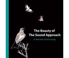 THE BEAUTY OF THE SOUND APPROACH