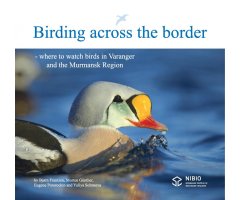 BIRDING ACROSS THE BORDER