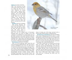 BIRDING ACROSS THE BORDER 3