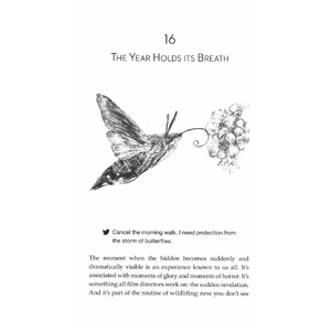 ON THE MARSH: A YEAR SURROUNDED BY WILDNESS AND WET_1