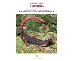FAUNA D'ITALIA. AMPHIBIA. VOL. XLII