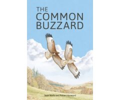 THE COMMON BUZZARD