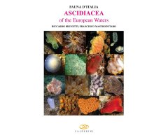 FAUNA D\'ITALIA, ASCIDIACEA OF THE EUROPEAN WATERS                                                                                                    