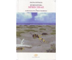 FAUNA D\'ITALIA. HYMENOPTERA SPHECIDAE VOL. XL                                                                                                        