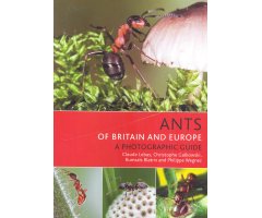 ANTS OF BRITAIN AND EUROPE      