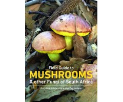 MUSHROOMS AND OTHER FUNGI IN SOUTH AFRICA