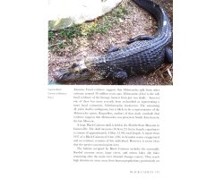 CROCODILES OF THE WORLD. A COMPLETE GUIDE TO ALLIGATORS, CAIMANS, CROCODILES AND CHARIALS_1