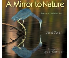 A MIRROR TO NATURE                                                                                                                                    