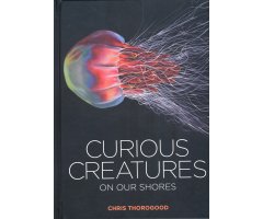 CURIOUS CREATURES ON OUR SHORES                                                                                                                       