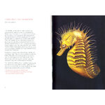 CURIOUS CREATURES ON OUR SHORES 2
