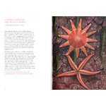 CURIOUS CREATURES ON OUR SHORES 3