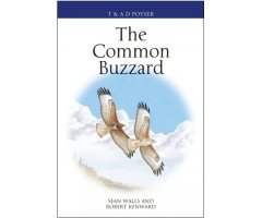 THE COMMON BUZZARD
