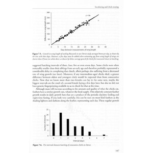 THE COMMON BUZZARD 3