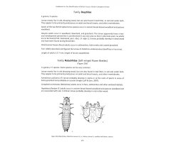 BRITISH COLEOPTERA LARVAE. A GUIDE TO THE FAMILIES AND MAJOR SUBFAMILIES 4