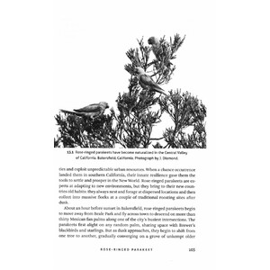 THINKING LIKE A PARROT 4