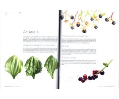 DIBUJO DE BOTÁNICA. GUÍA VISUAL PARA EL ARTISTA 3