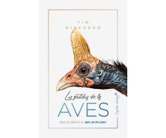 LOS SENTIDOS DE LAS AVES. QUÉ SE SIENTE AL SER UN PÁJARO