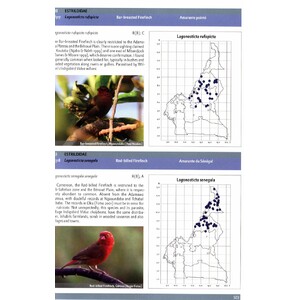 THE BIRDS OF CAMEROON. THEIR STATUS AND DISTRIBUTION 4