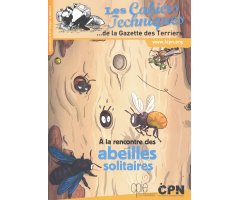 À LA RENCONTRE DES ABEILLES SOLITAIRES