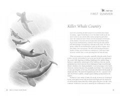 ORCA: THE WHALE CALLED KILLER 3