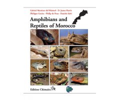 AMPHIBIANS AND REPTILES OF MOROCCO