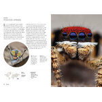 SPIDERS OF THE WORLD. A NATURAL HISTORY 2