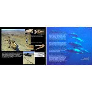 BEYOND EXTINCTION. THE ETERNAL OCEAN 5