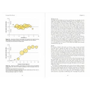 STELLER'S SEA EAGLE 4