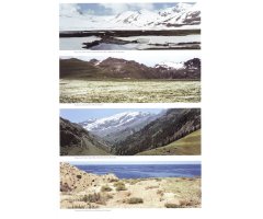 THE BUTTERFLIES OF KYRGYZSTAN 3