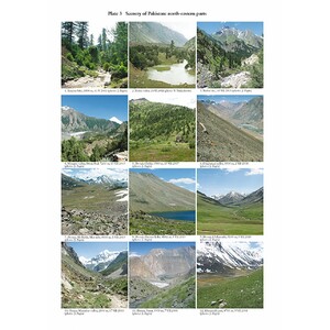 THE BUTTERFLIES OF PAKISTAN_1