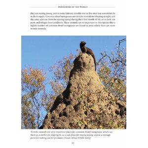 MONGOOSES OF THE WORLD 4