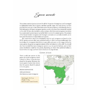 MONGOOSES OF THE WORLD 5