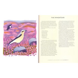 A SPARROW'S LIFE'S AS SWEET AS OURS_1