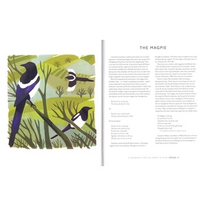 A SPARROW'S LIFE'S AS SWEET AS OURS 4